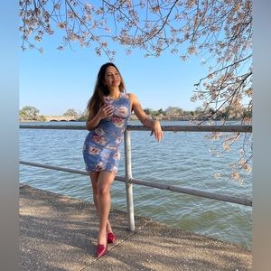 Mesh cherry blossom dress